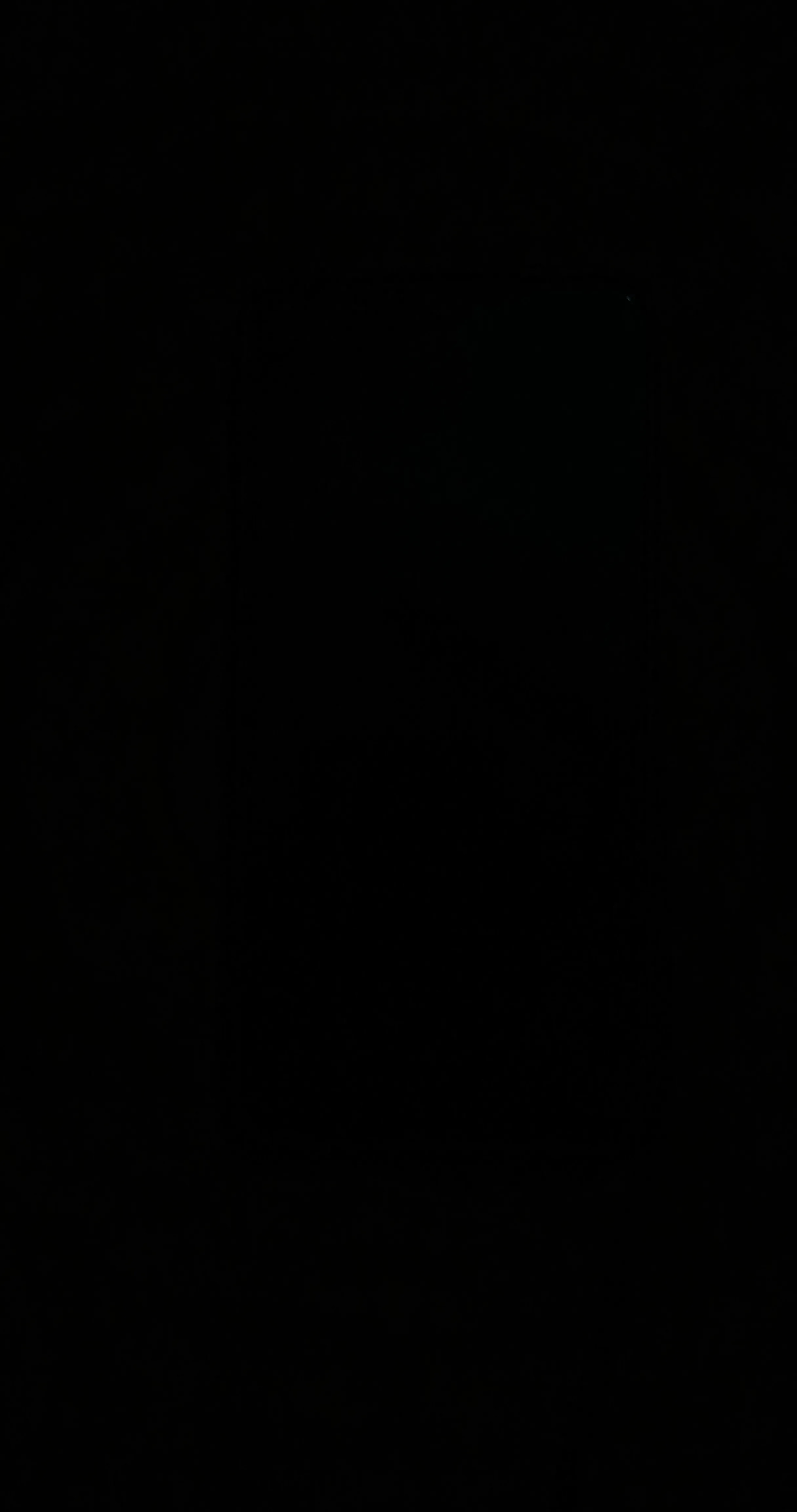 vivo Z1x