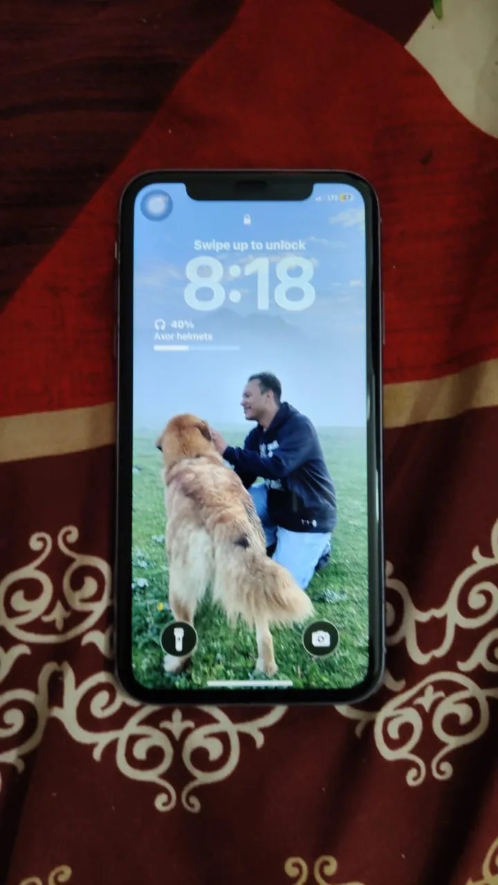 Apple iPhone 11