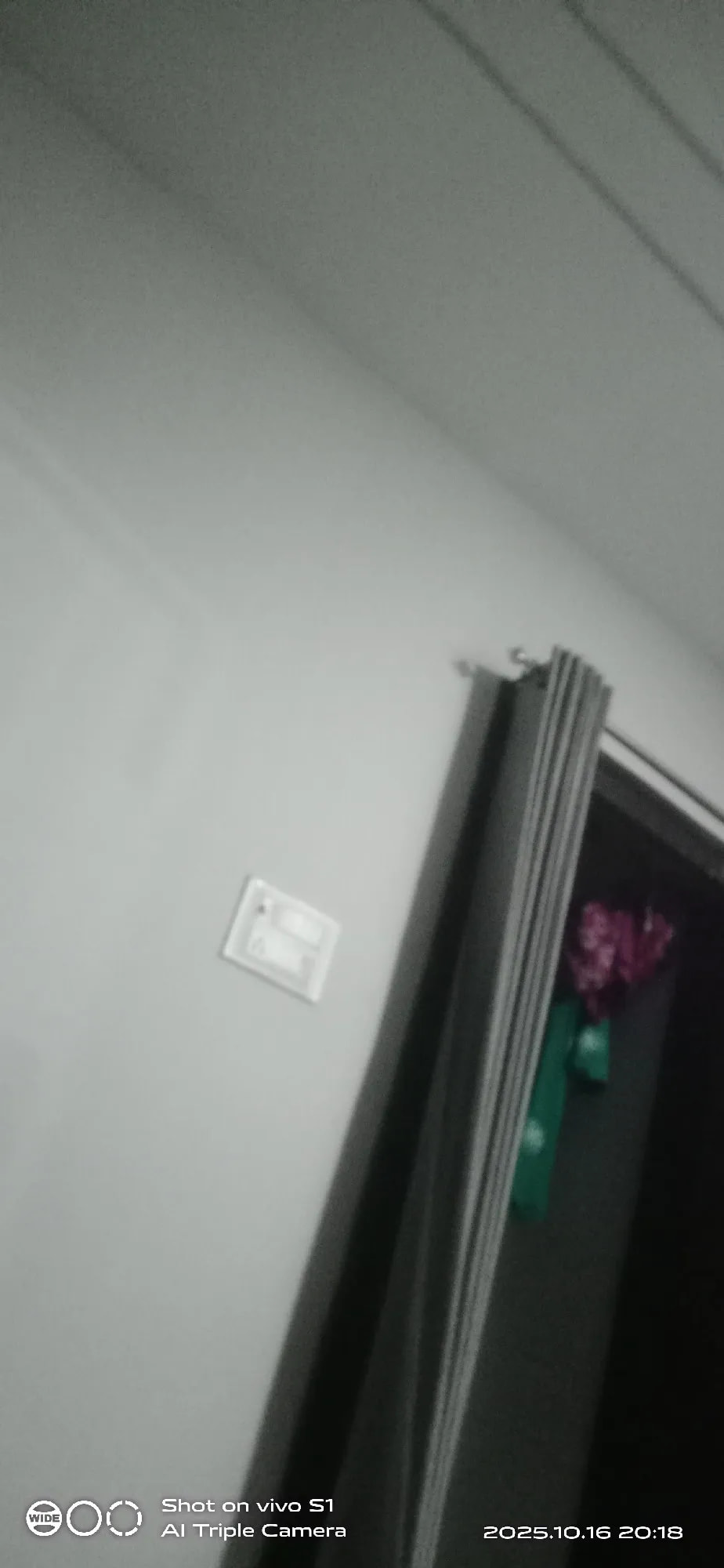 vivo S1