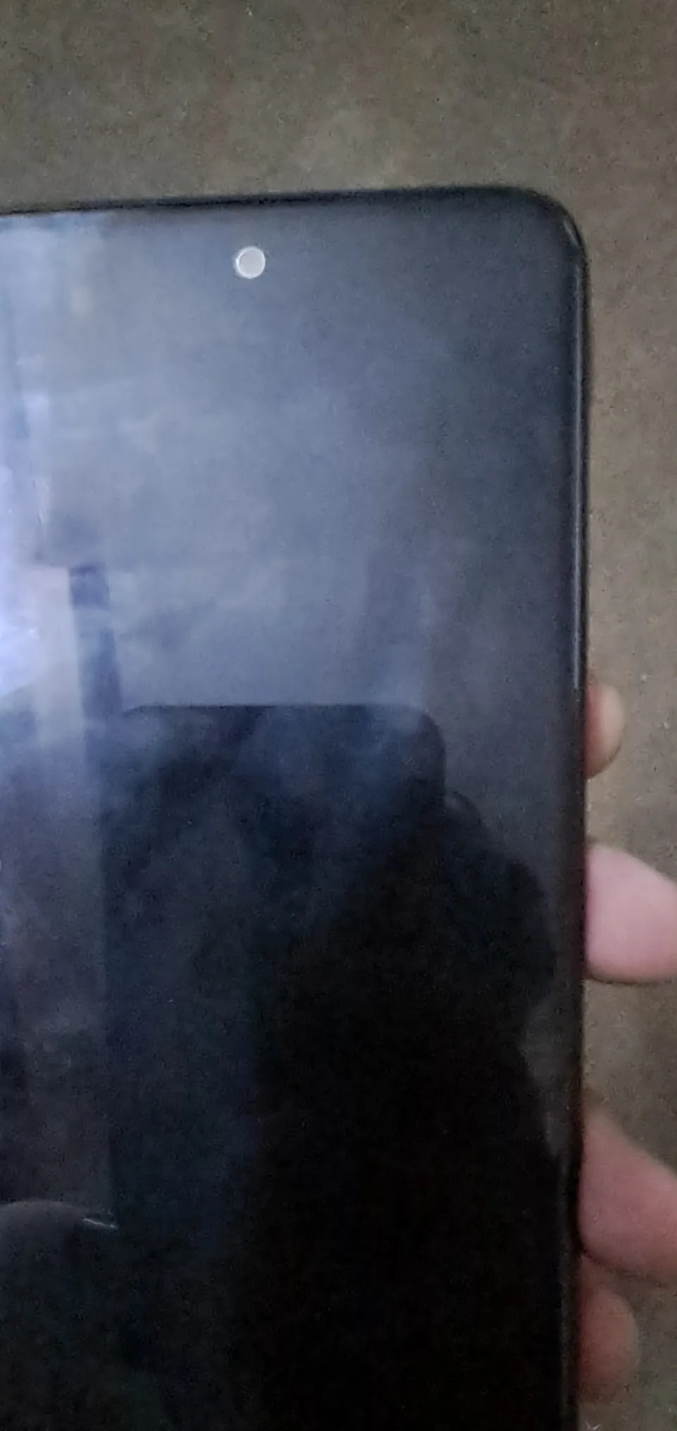 Motorola Moto G31