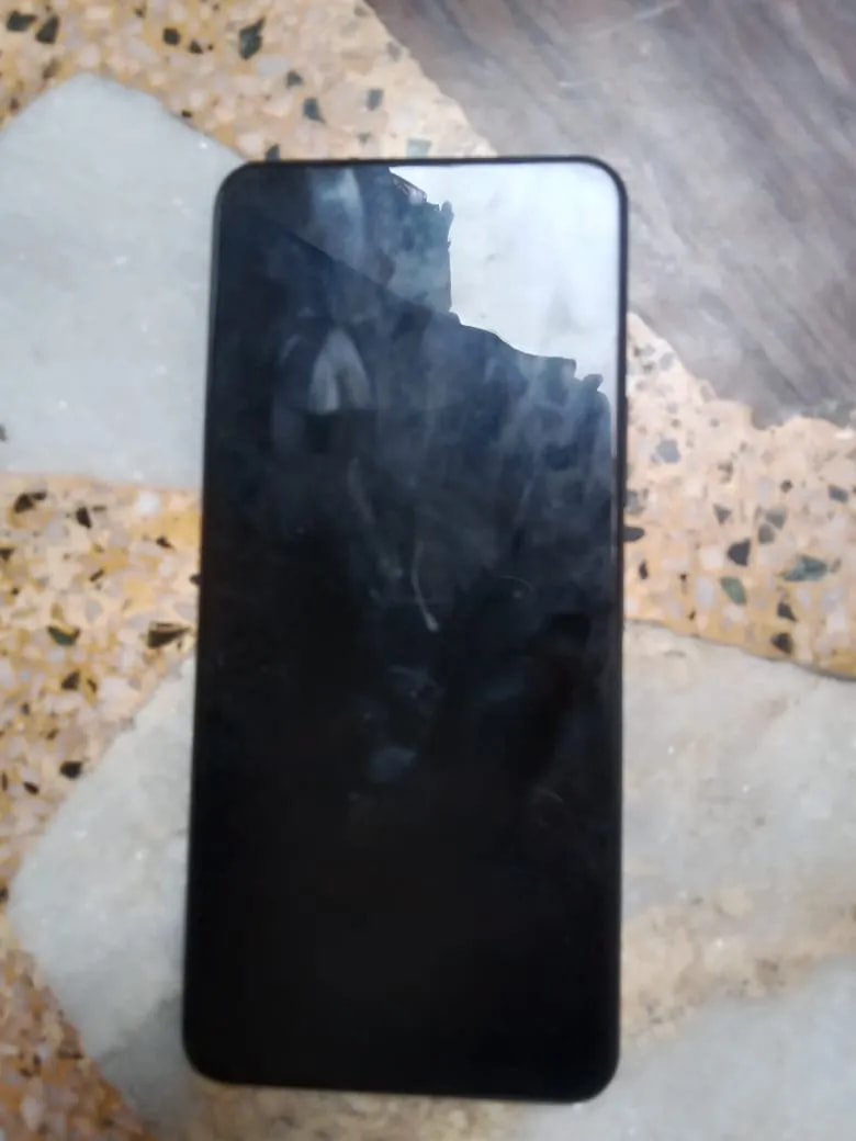 vivo Y29