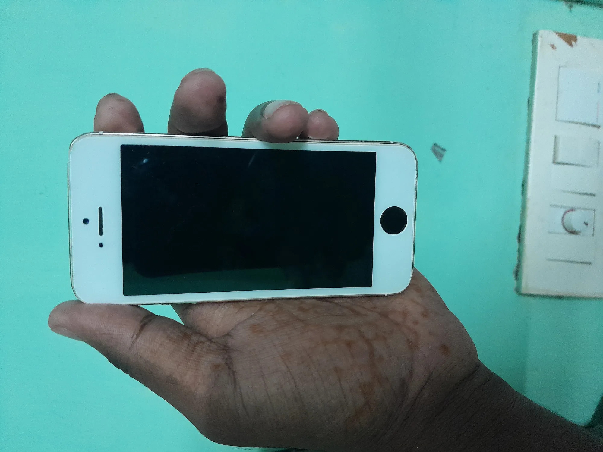 Apple iPhone 5s