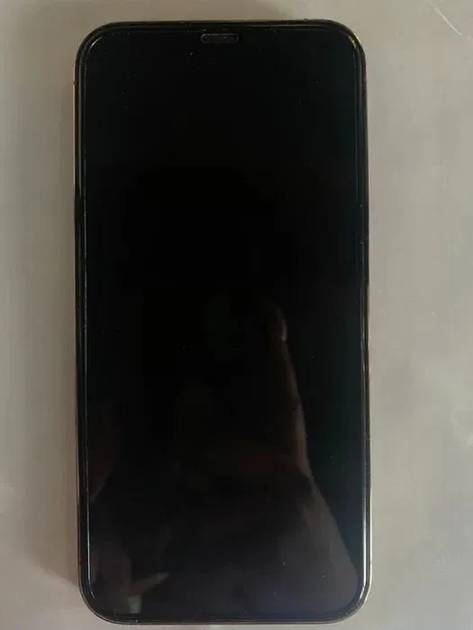 Apple iPhone 12 Pro Max